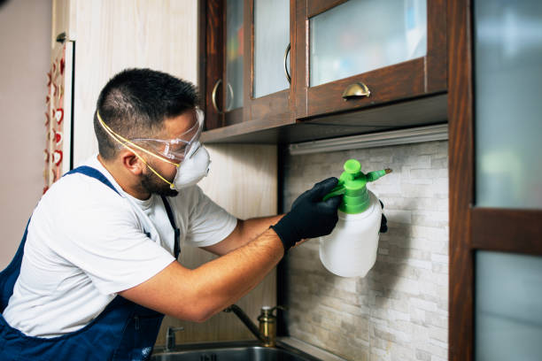 Reliable Nokomis, IL Pest Control Solutions