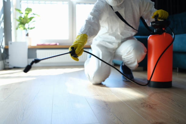 Flea Control Services in Nokomis, IL