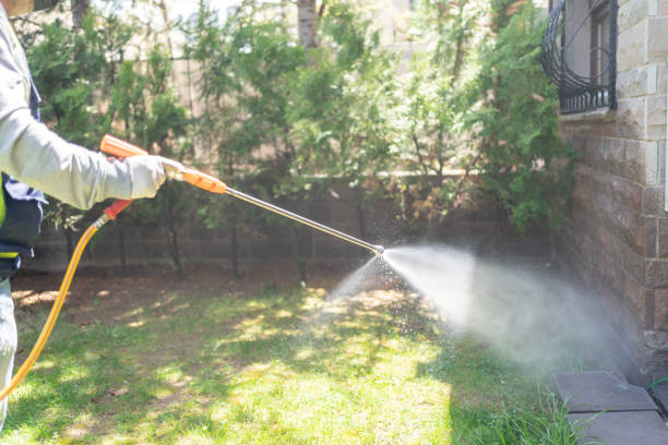 Best Commercial Pest Control Services  in Nokomis, IL