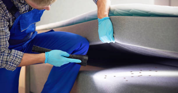 Best Bed Bug Extermination  in Nokomis, IL