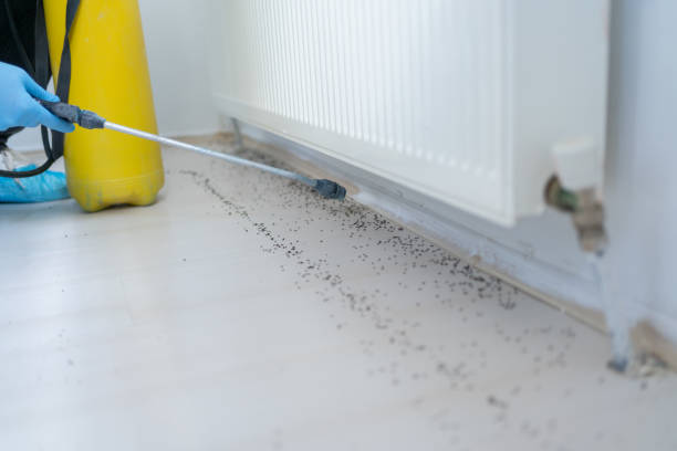Best Pest Inspection Near Me  in Nokomis, IL