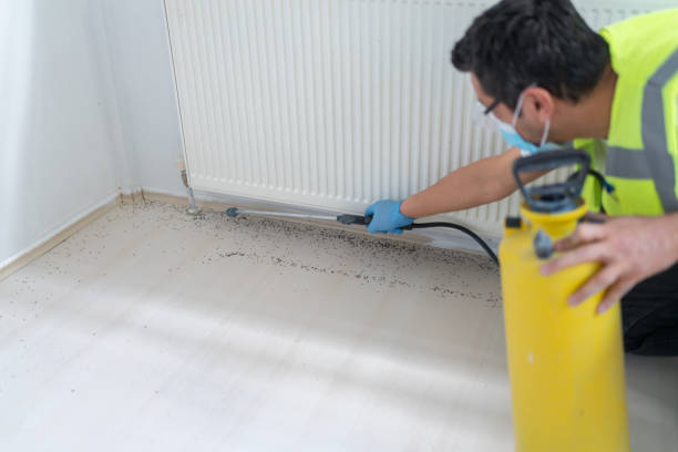 Best Best Pest Control Companies  in Nokomis, IL