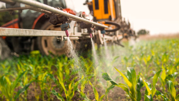 Best Pest Removal Services  in Nokomis, IL